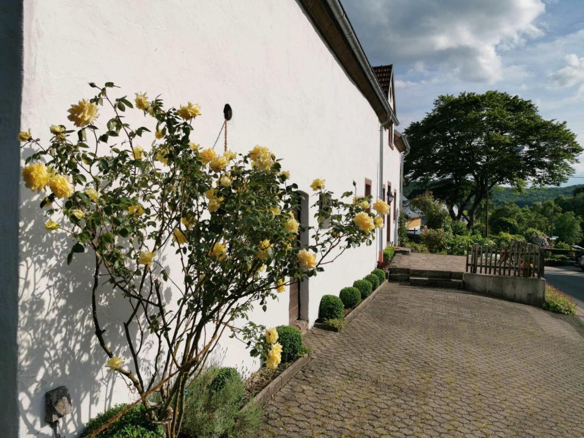 Ferienhaus Vulkaneifel Landhaus Loogh Kerpen  Екстер'єр фото