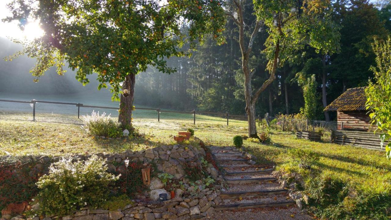 Ferienhaus Vulkaneifel Landhaus Loogh Kerpen  Екстер'єр фото