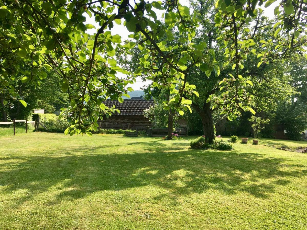 Ferienhaus Vulkaneifel Landhaus Loogh Kerpen  Екстер'єр фото