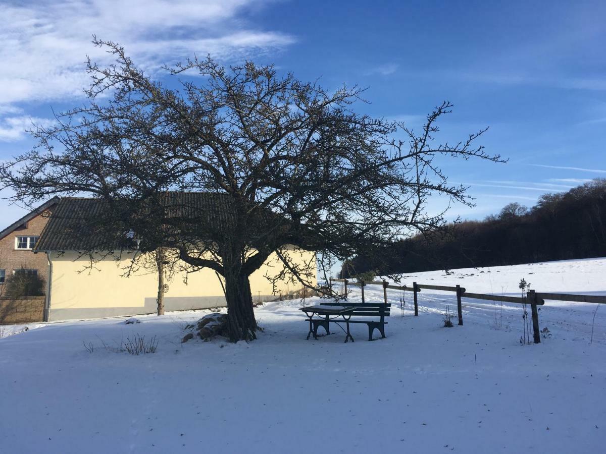Ferienhaus Vulkaneifel Landhaus Loogh Kerpen  Екстер'єр фото